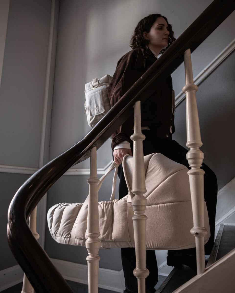 Sebra 3-in-1 Babynestje met Kap