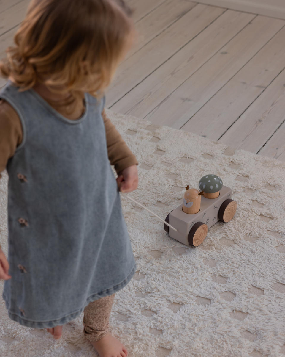 Sebra Trekdier met Pop-up, Woodland