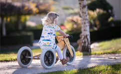 Wishbone 3in1 Loopfiets