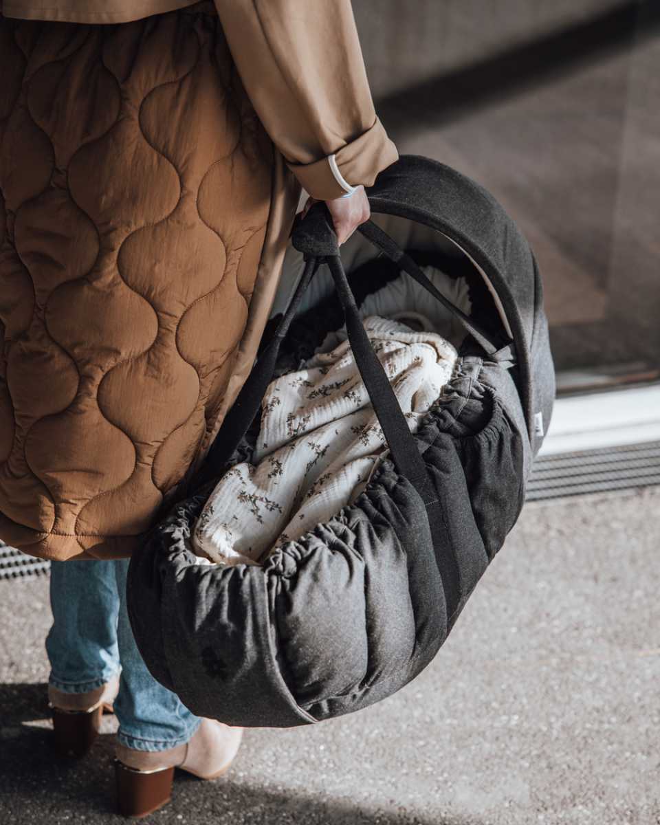 Sebra 3-in-1 Babynestje met Kap