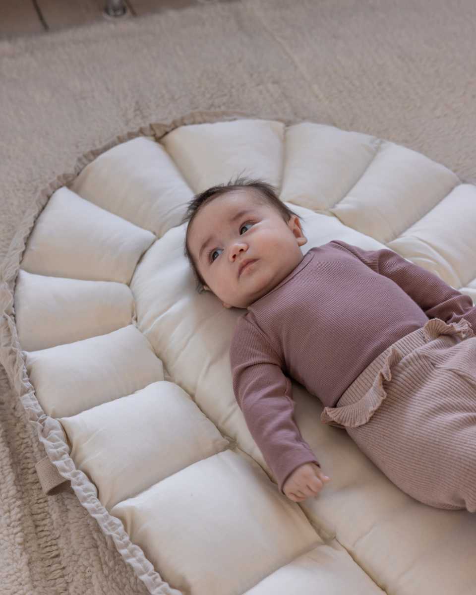 Sebra 3-in-1 Babynestje met Kap