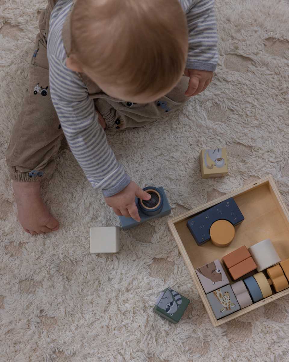 Sebra Magische Houten Sorteerdoos
