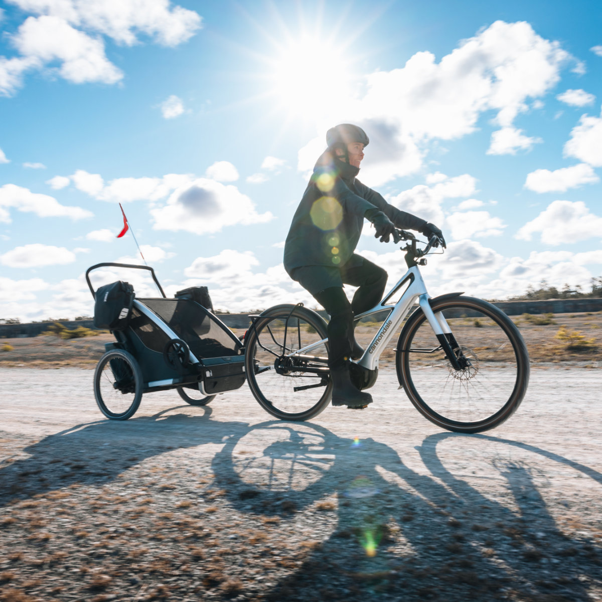Thule Chariot 2 Fietstasadapter voor Fietskar – 2-delig