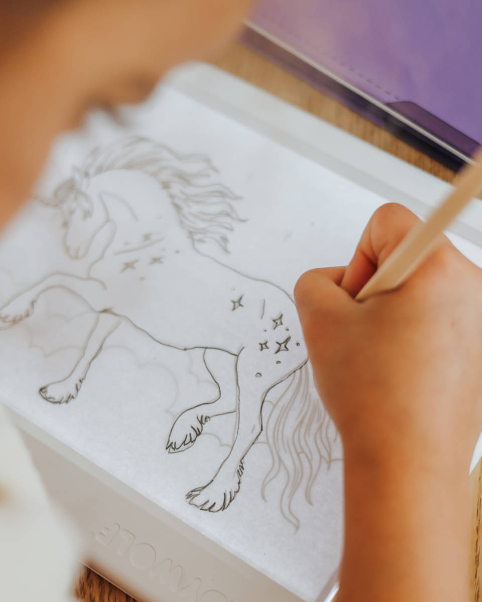 Kidywolf Navulset voor Kidydraw Pad