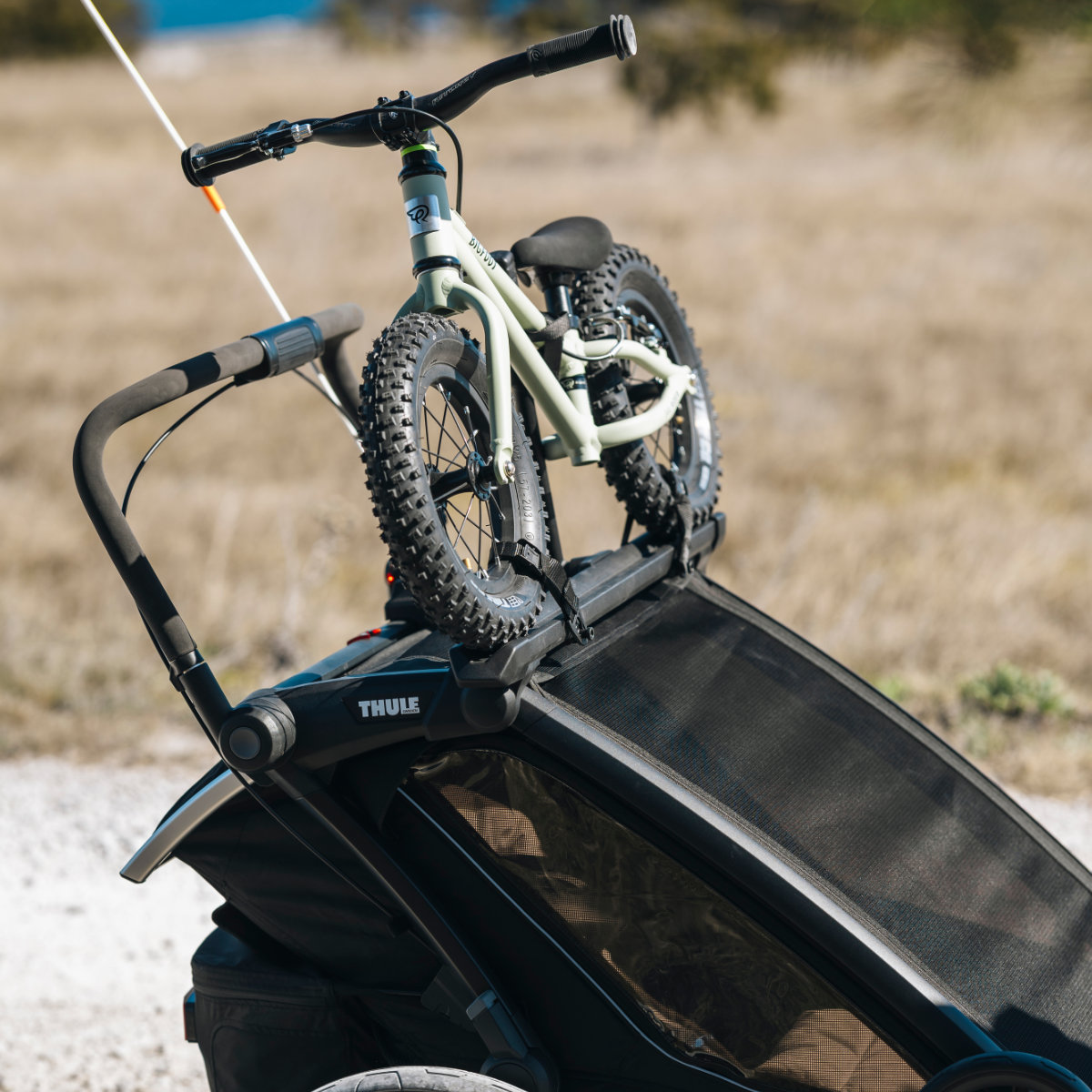 Thule Chariot 2 Loopfietshouder voor Fietskar
