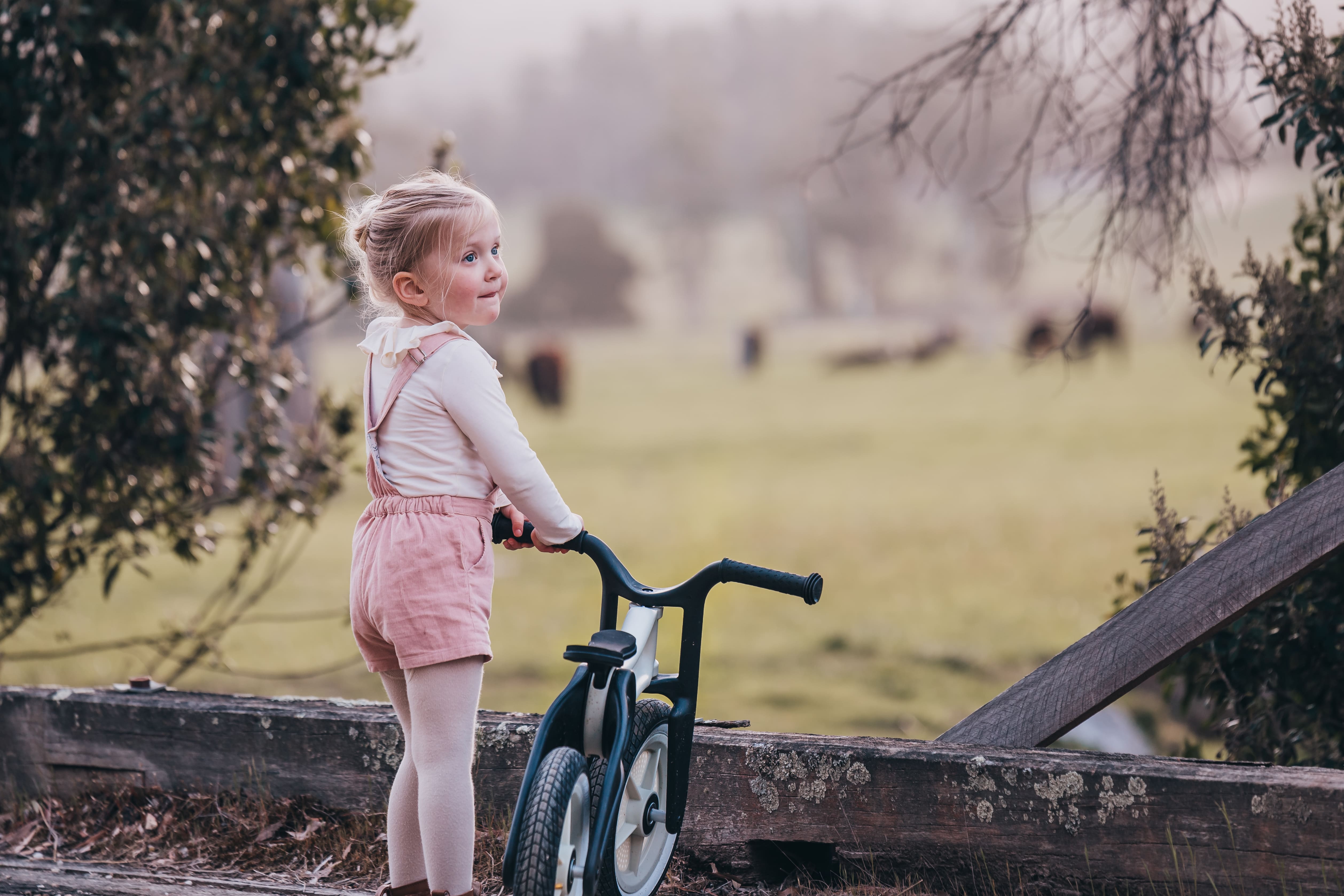 Wishbone 2-in-1 Loopfiets, Gerecyclede Editie2