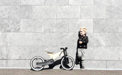 Wishbone Cruise Loopfiets