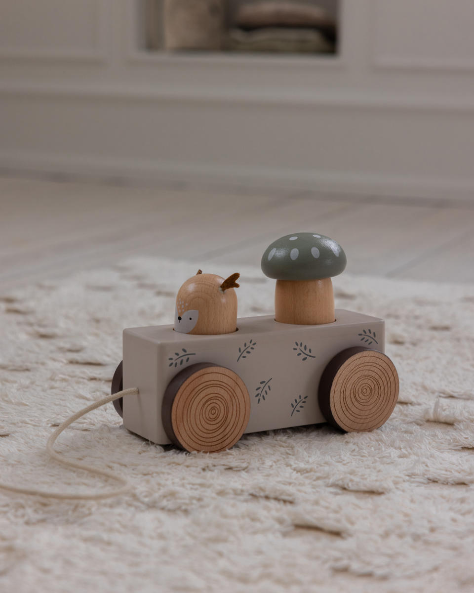 Sebra Trekdier met Pop-up, Woodland
