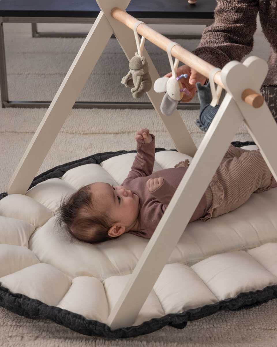 Sebra 3-i-1 Babynestje