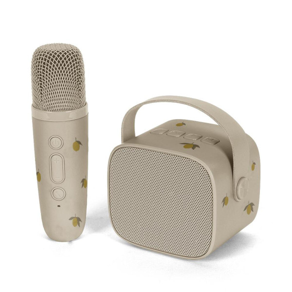 Konges Sløjd Karaoke Draadloze Microfoon met Muziekbox
