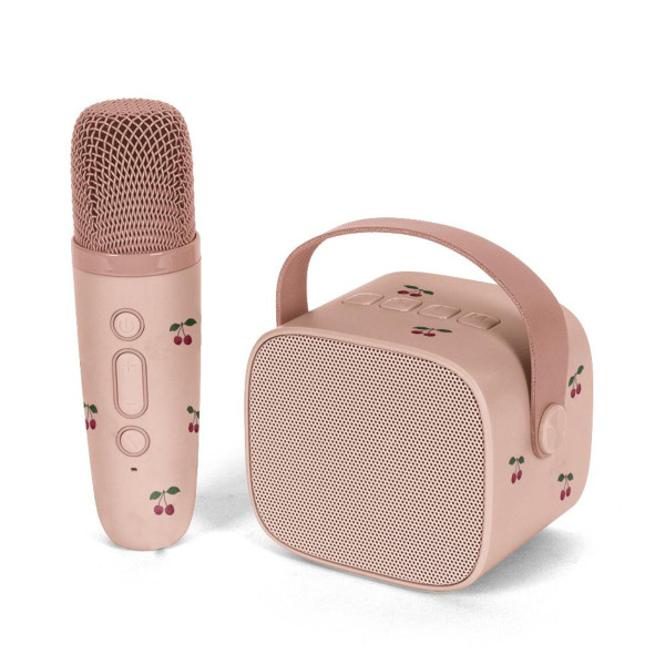 Konges Sløjd Karaoke Draadloze Microfoon met Muziekbox